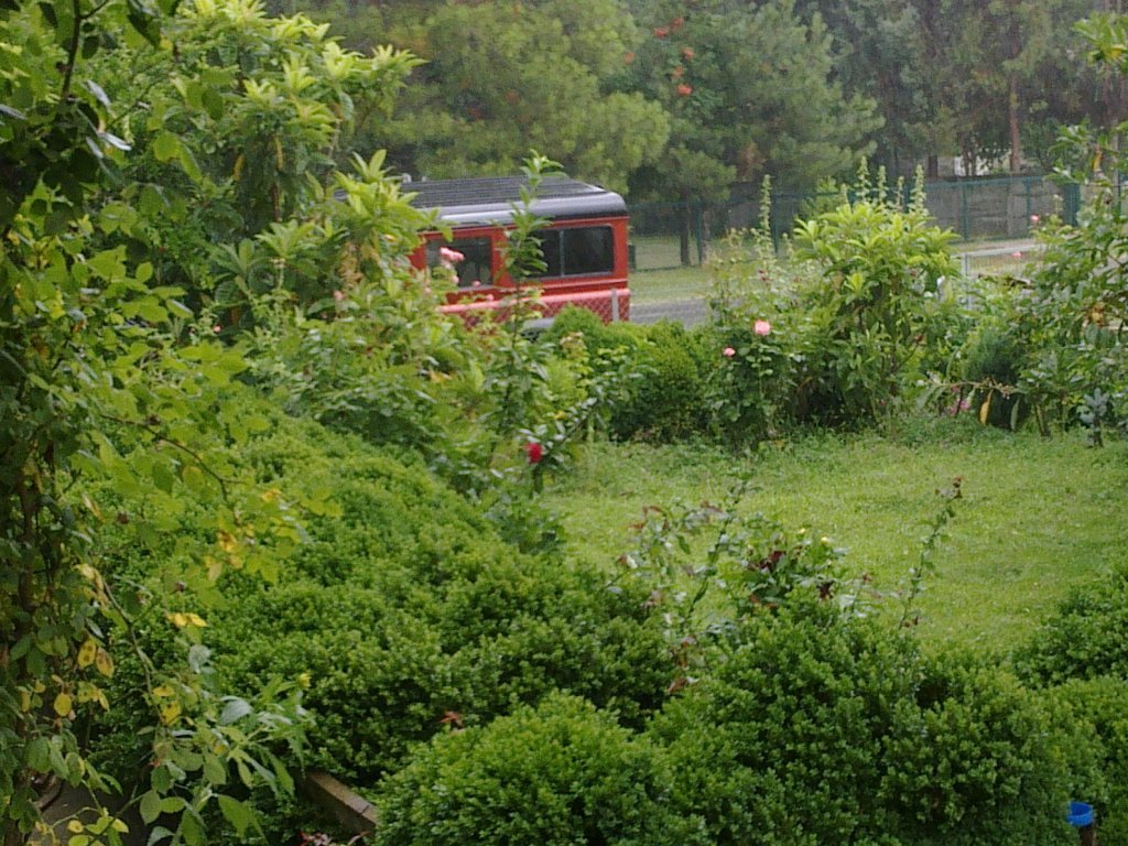 08072012394.jpg