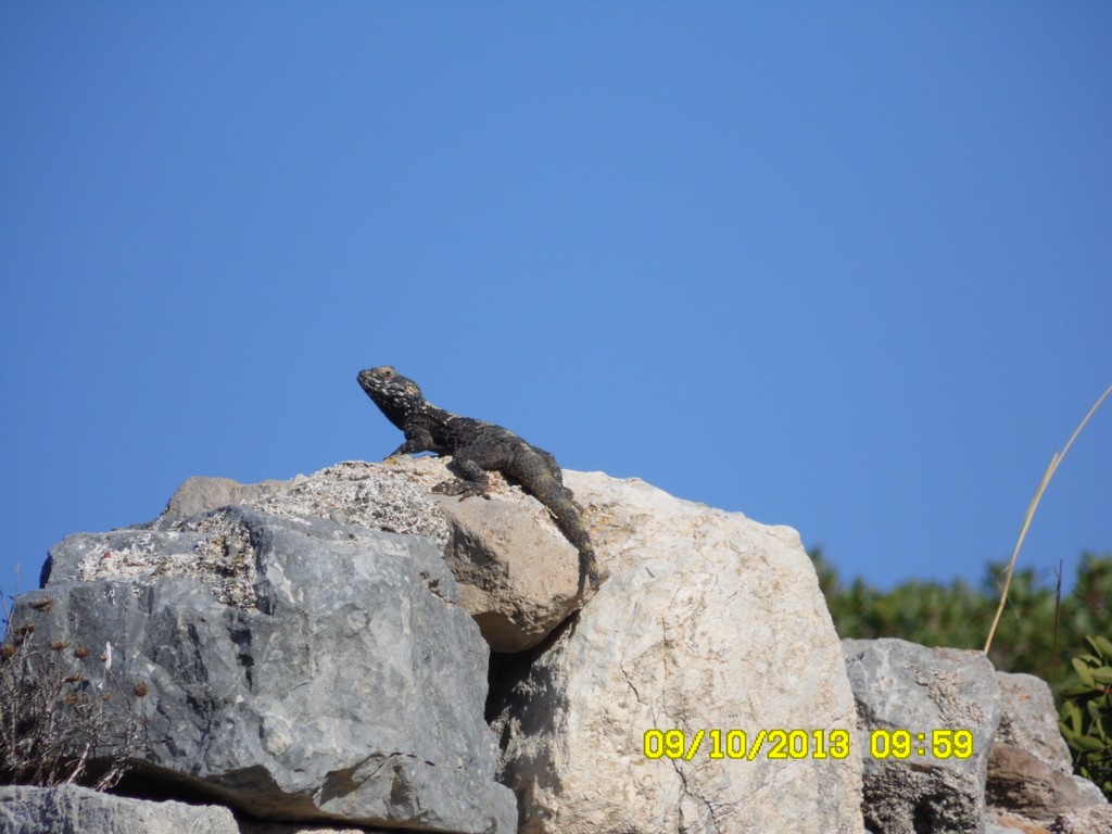 09-10-09-59-Knidos-Artiz.JPG