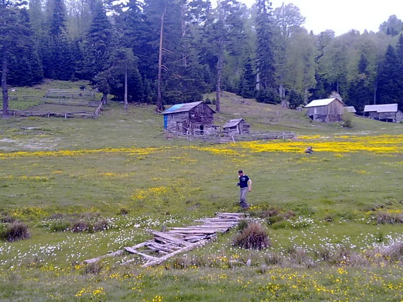 09052010201.jpg