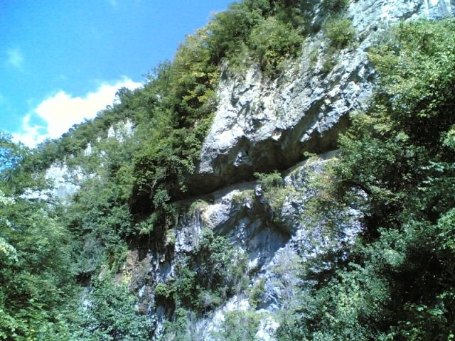 09082008(004).jpg