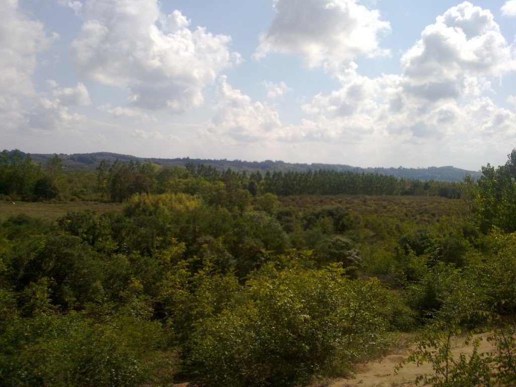 090920143560.jpg