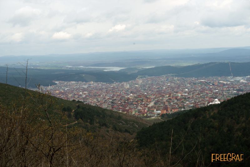 09798.jpg
