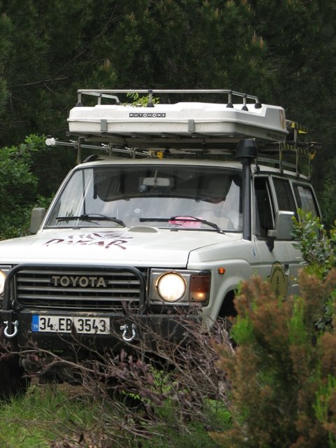 1 (11).jpg