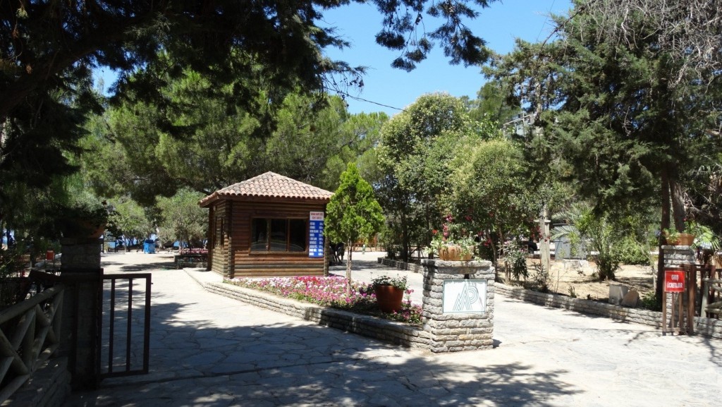 (1)A9T~2.JPG