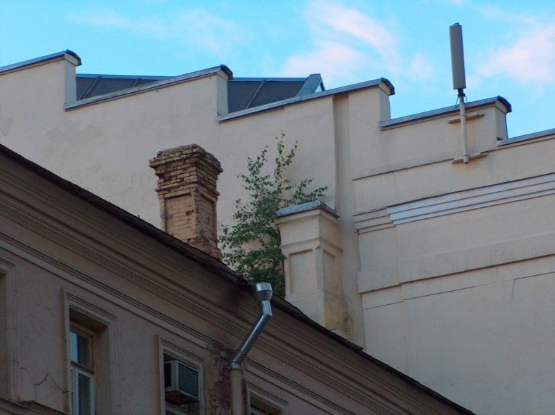 1 agac HPIM3621.jpg