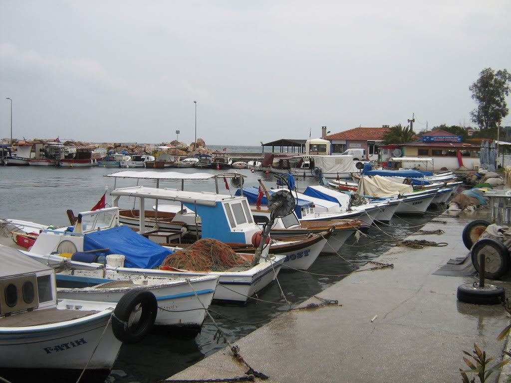 10-11ubatFOA021.jpg