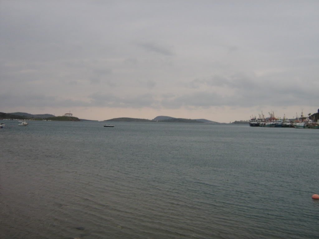10-11ubatFOA038.jpg
