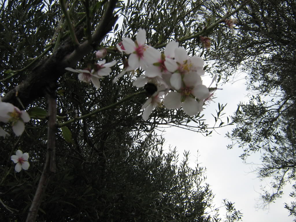 10-11ubatFOA079.jpg