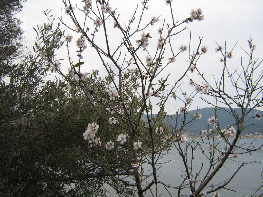10-11ubatFOA081.jpg