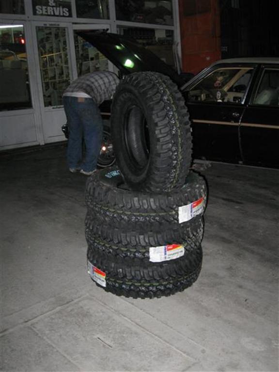 10 (Large).jpg