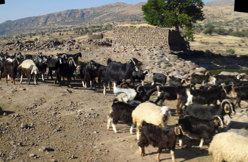 [10] Resimlerim, Pano, 4 images, DSC06181 - DSC06185 - 4942x3220 - SCUL-Smartblend.jpg