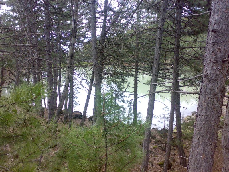 100420112191.jpg