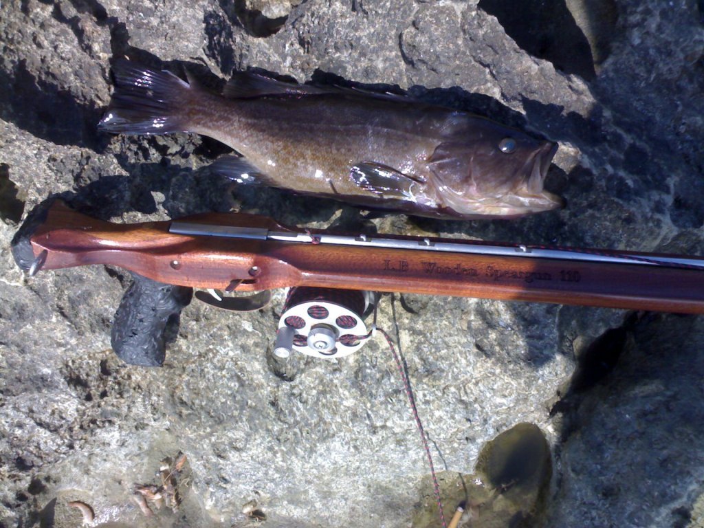 10072009623.jpg