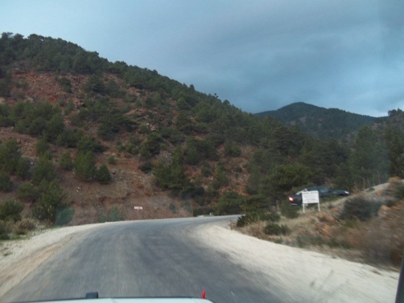 100_0083 [800x600].jpg