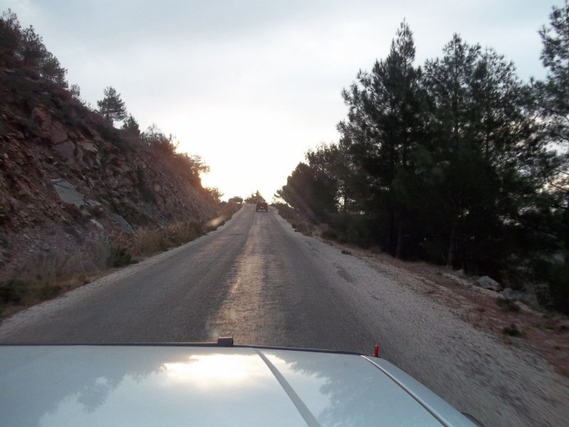 100_0084 [800x600].jpg