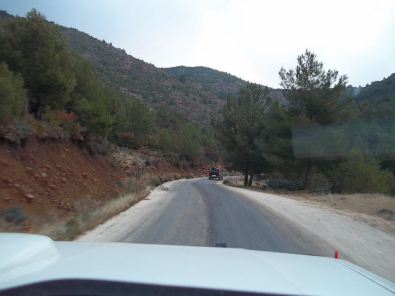 100_0085 [800x600].jpg