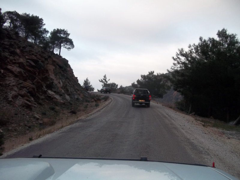 100_0086 [800x600].jpg