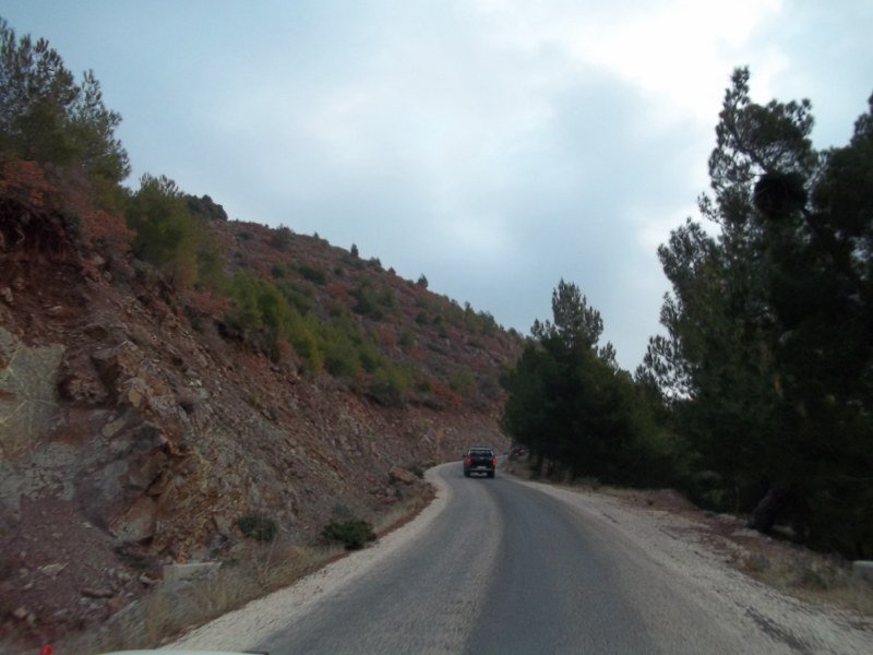 100_0087 [800x600].jpg