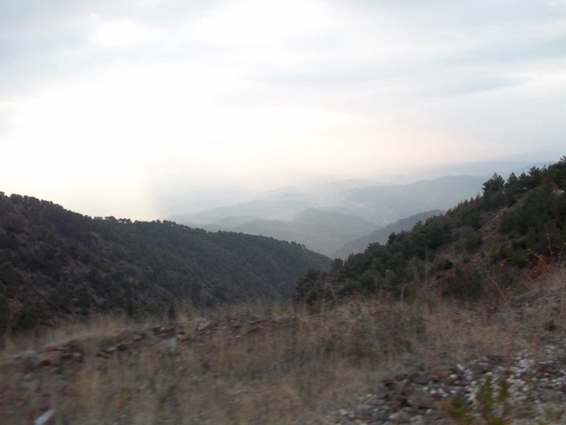 100_0089 [800x600].jpg