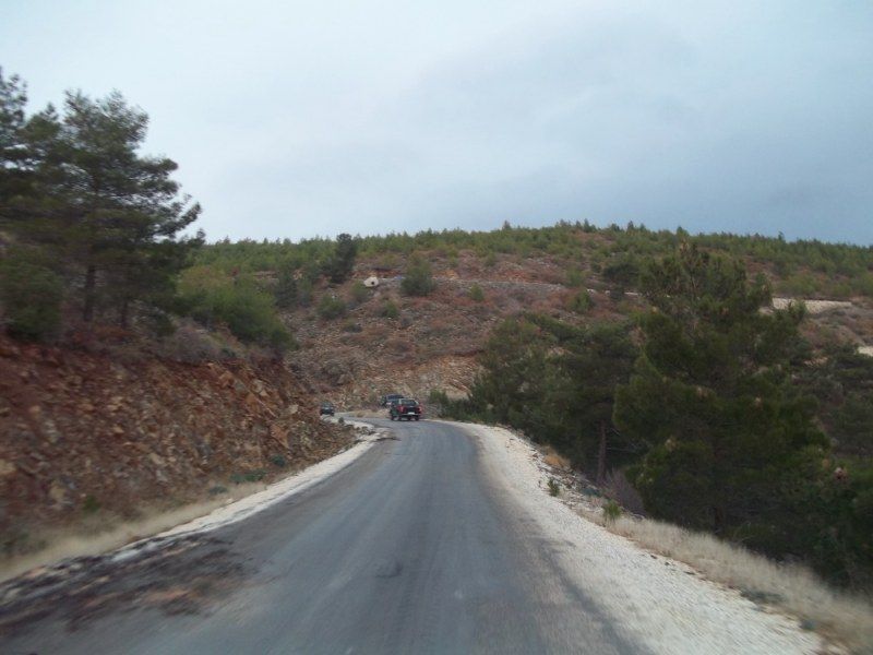 100_0094 [800x600].jpg