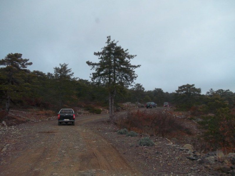 100_0100 [800x600].jpg