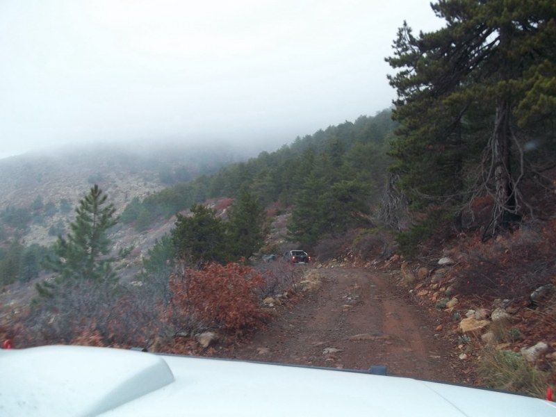 100_0115 [800x600].jpg