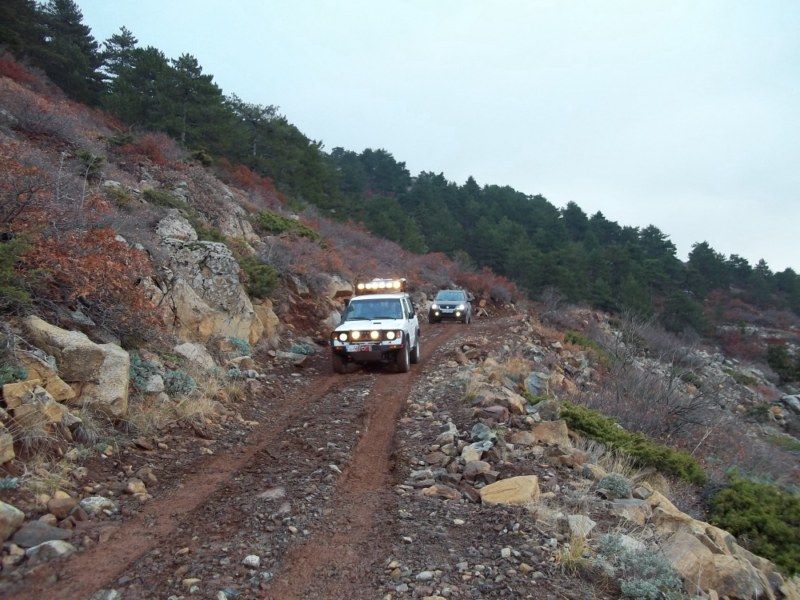 100_0116 [800x600].jpg