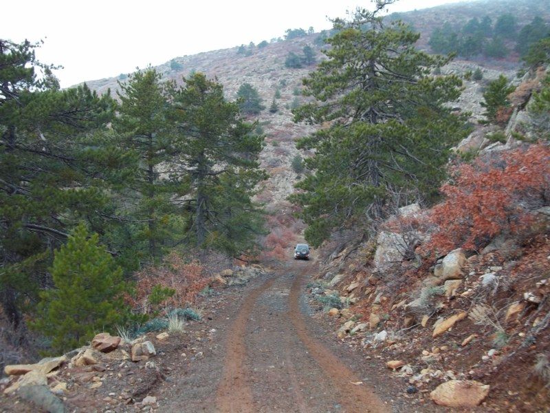 100_0117 [800x600].jpg