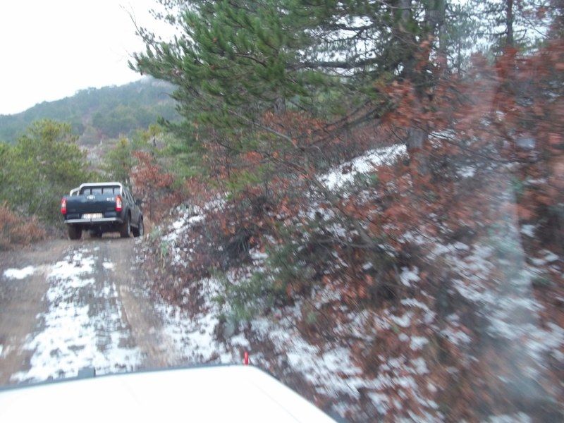 100_0121 [800x600].jpg