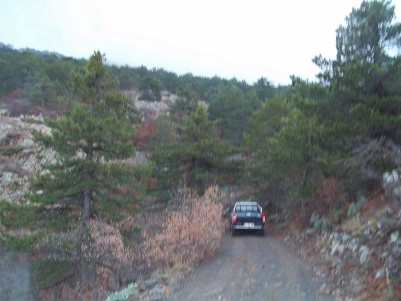 100_0123 [800x600].jpg