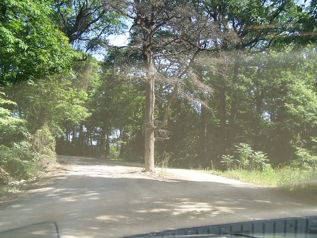 100_0157.jpg