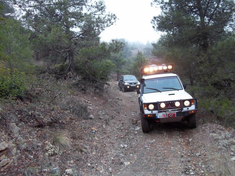 100_0159 [800x600].jpg