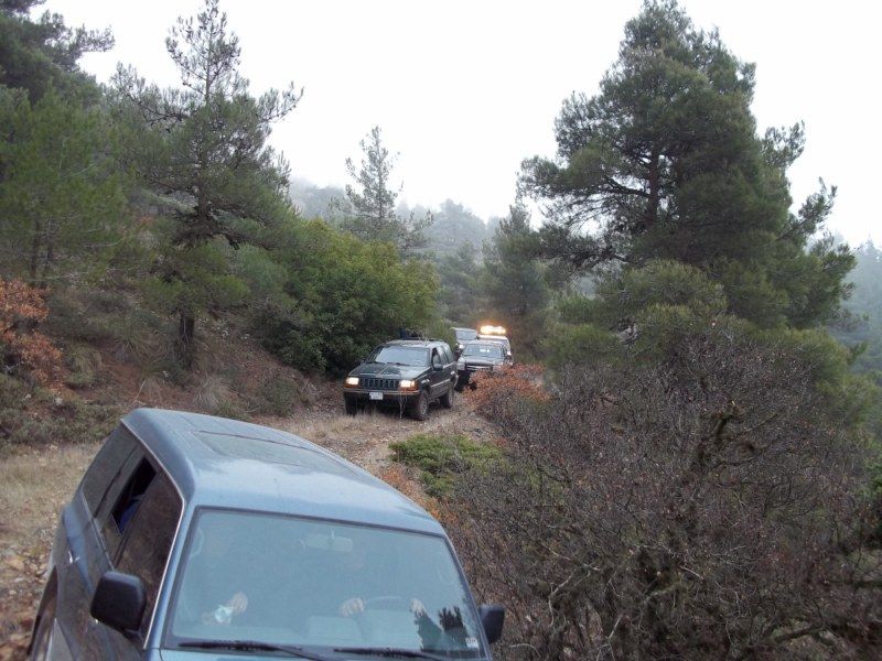 100_0161 [800x600].jpg