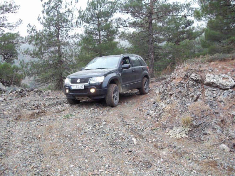 100_0172 [800x600].jpg