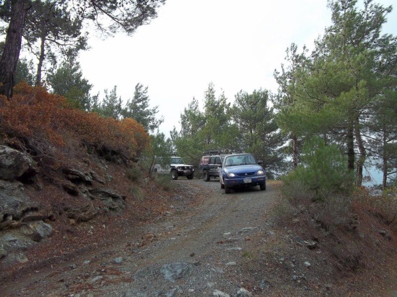 100_0178 [800x600].jpg