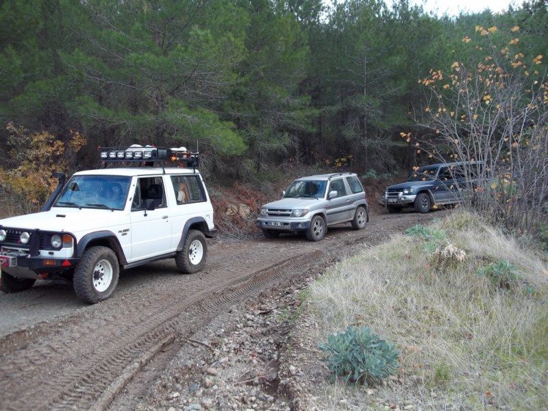 100_0185 [800x600].jpg