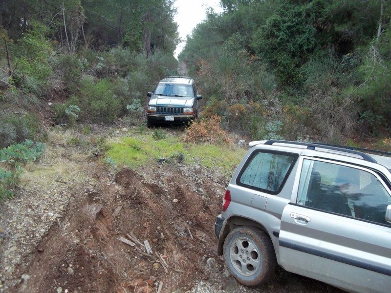 100_0186 [800x600].jpg