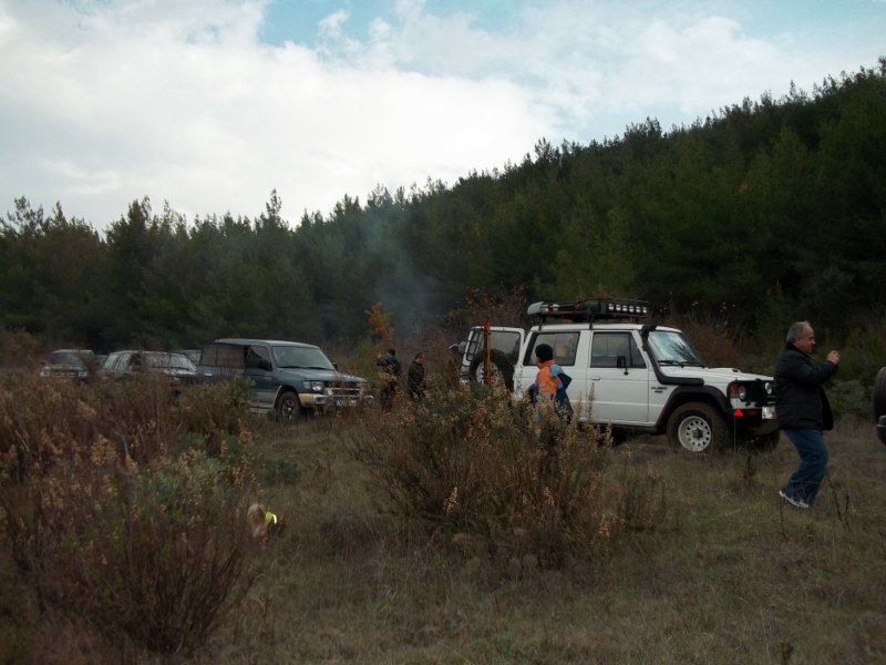 100_0187 [800x600].jpg