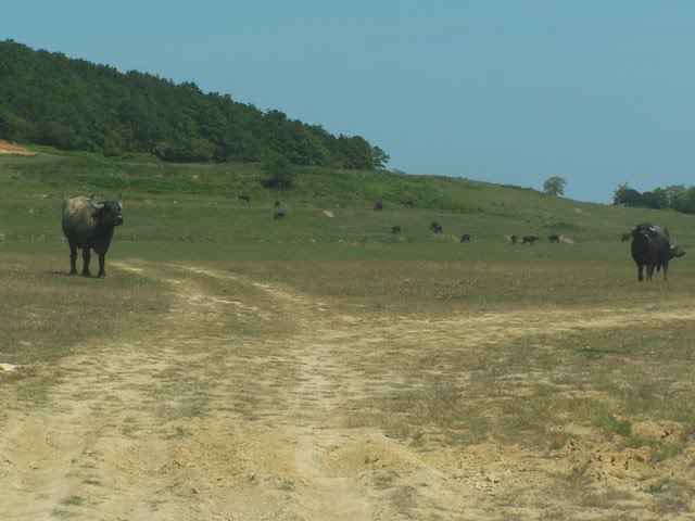100_0188.jpg