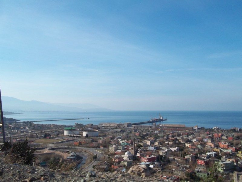 100_0217 [800x600].jpg