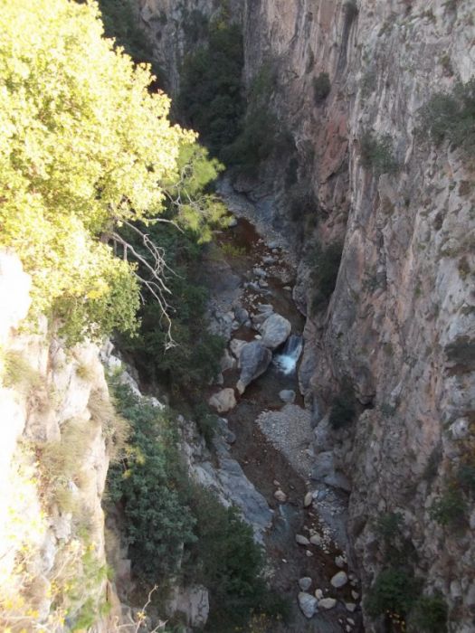 100_0225 [800x600].jpg