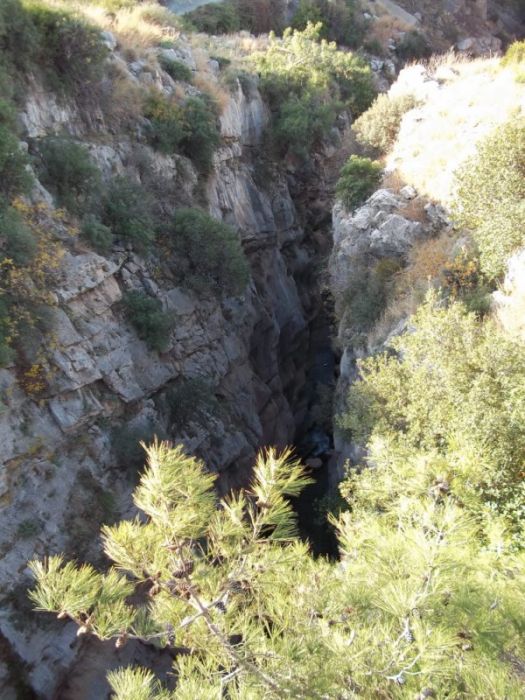 100_0227 [800x600].jpg