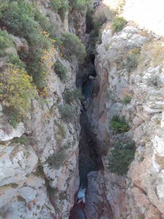 100_0229 [800x600].jpg