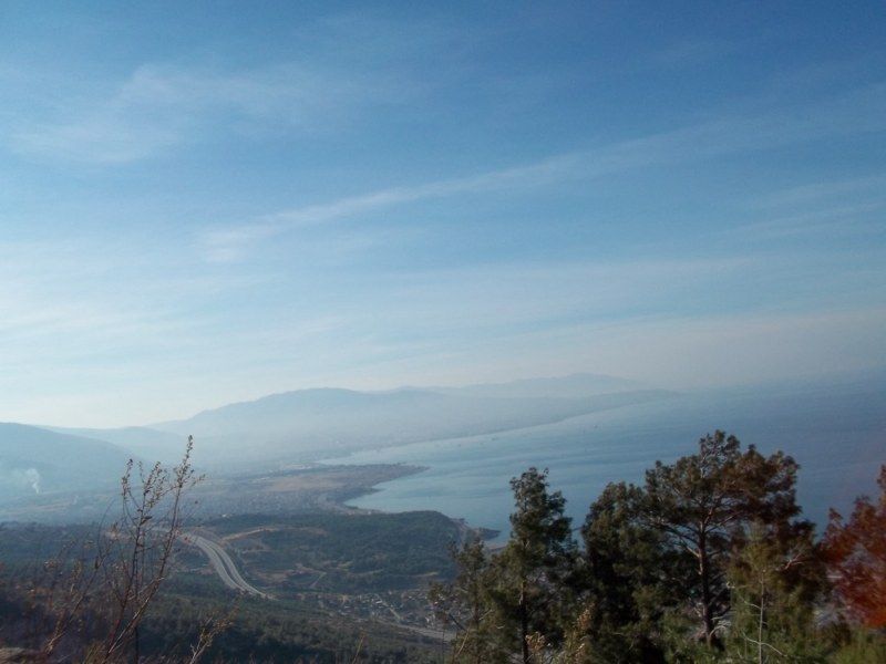 100_0258 [800x600].jpg