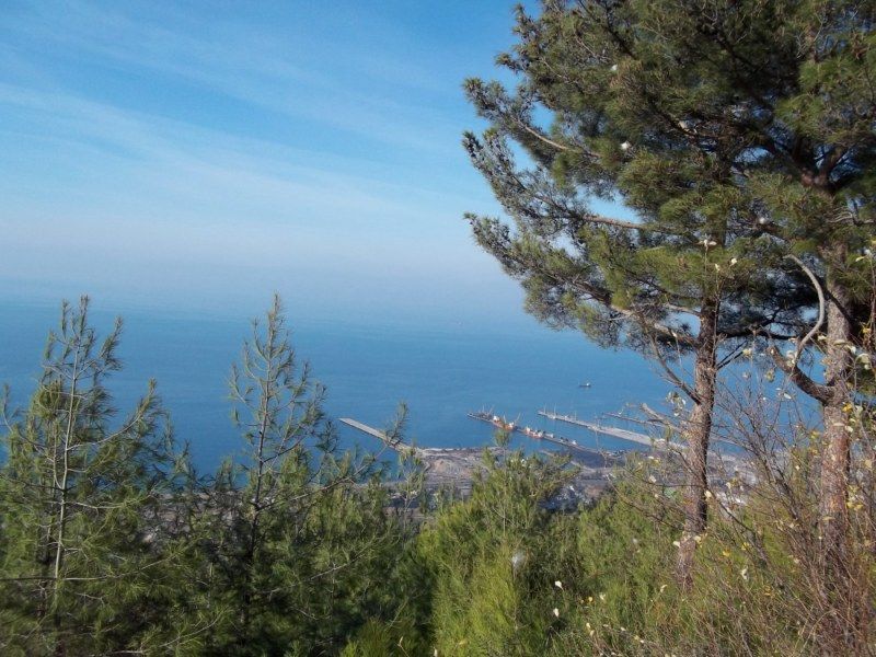 100_0262 [800x600].jpg