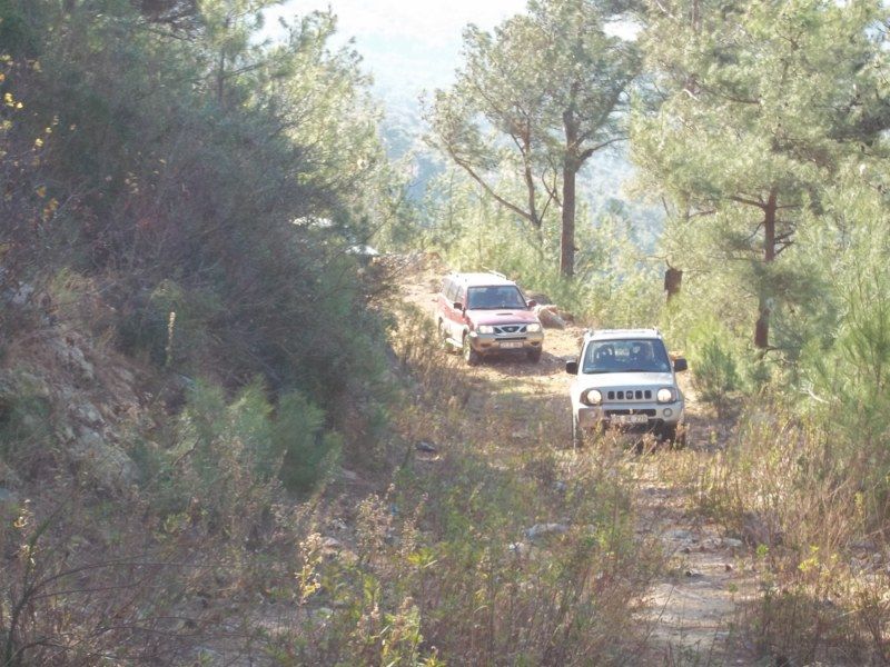 100_0271 [800x600].jpg