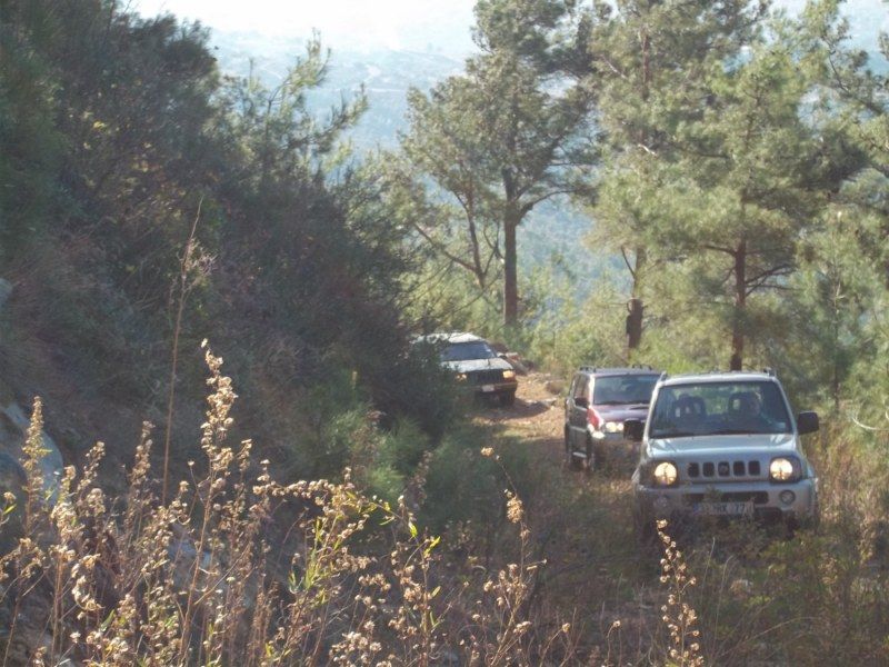 100_0272 [800x600].jpg