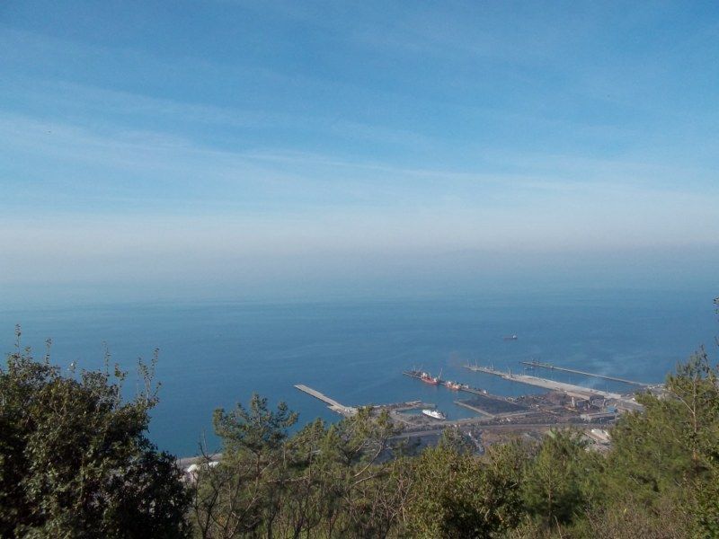 100_0281 [800x600].jpg