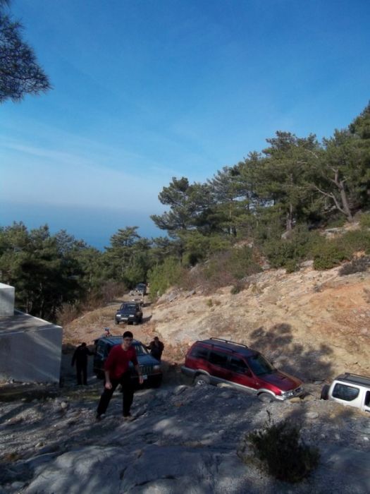 100_0288 [800x600].jpg