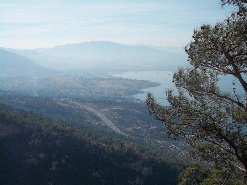 100_0292 [800x600].jpg